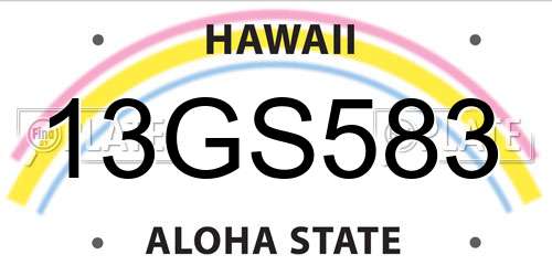 13GS583 Hawaii License Plate