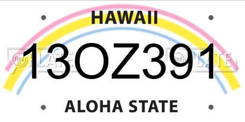 13OZ391 Hawaii License Plate