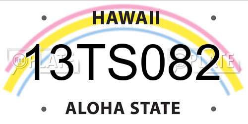 13TS082 Hawaii License Plate