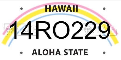 14RO229 Hawaii License Plate
