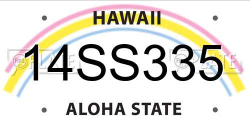 14SS335 Hawaii License Plate