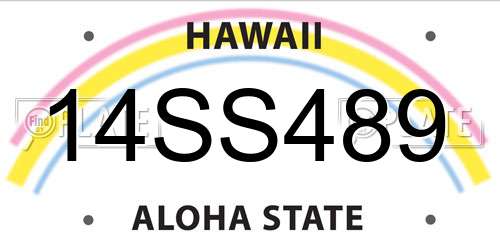 14SS489 Hawaii License Plate