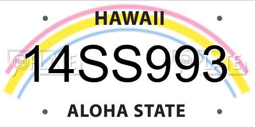 14SS993 Hawaii License Plate