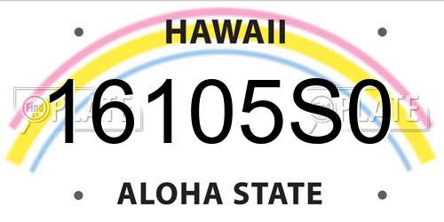 16105S0 Hawaii License Plate