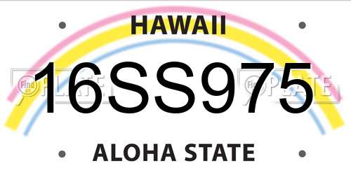 16SS975 Hawaii License Plate