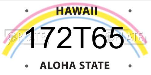 172T65 Hawaii License Plate