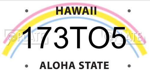 173TO5 Hawaii License Plate