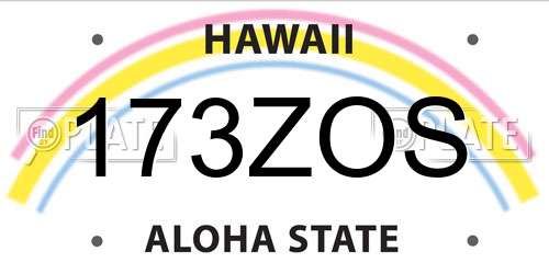 173ZOS Hawaii License Plate