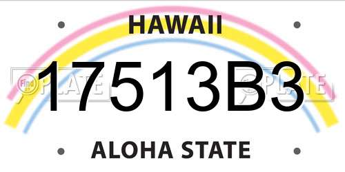 17513B3 Hawaii License Plate