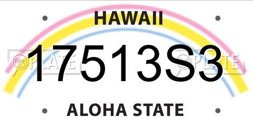 17513S3 Hawaii License Plate