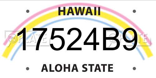17524B9 Hawaii License Plate