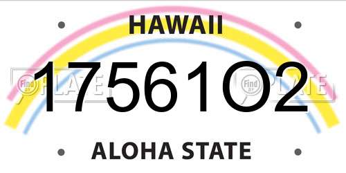 17561O2 Hawaii License Plate