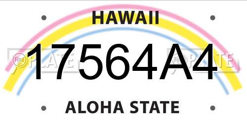 17564A4 Hawaii License Plate