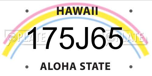 175J65 Hawaii License Plate