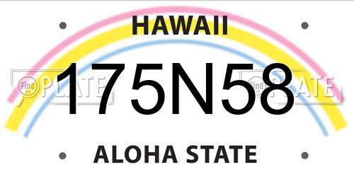 175N58 Hawaii License Plate