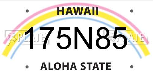 175N85 Hawaii License Plate