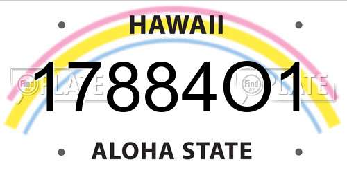 17884O1 Hawaii License Plate