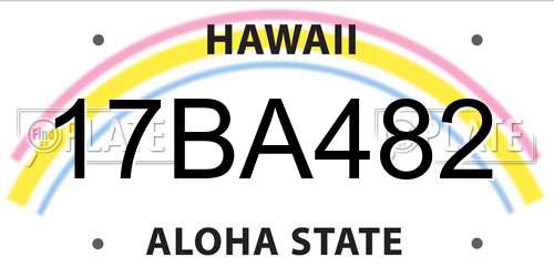 17BA482 Hawaii License Plate