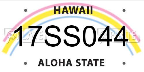 17SS044 Hawaii License Plate