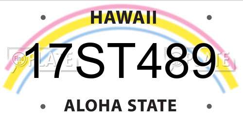 17ST489 Hawaii License Plate