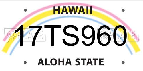 17TS960 Hawaii License Plate
