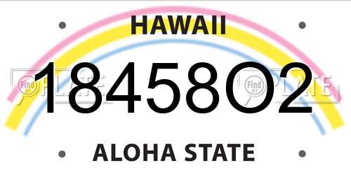 18458O2 Hawaii License Plate