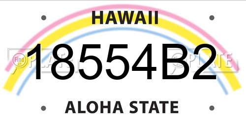 18554B2 Hawaii License Plate