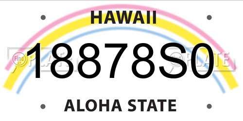 18878S0 Hawaii License Plate