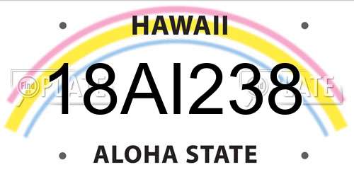 18AI238 Hawaii License Plate