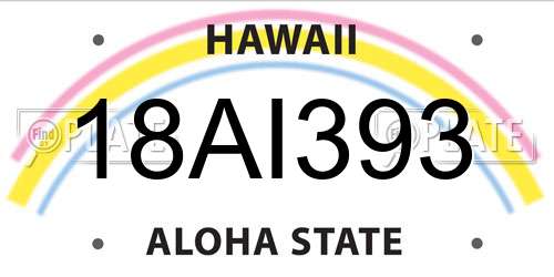 18AI393 Hawaii License Plate