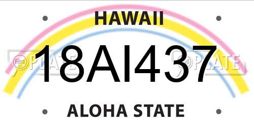 18AI437 Hawaii License Plate