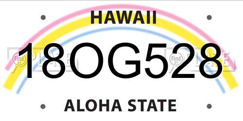18OG528 Hawaii License Plate