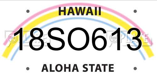 18SO613 Hawaii License Plate
