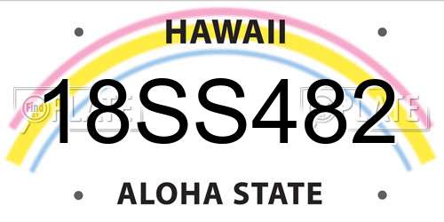 18SS482 Hawaii License Plate