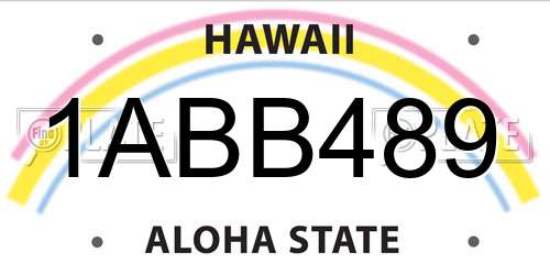 1ABB489 Hawaii License Plate