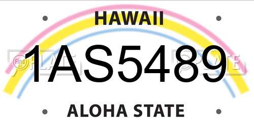 1AS5489 Hawaii License Plate