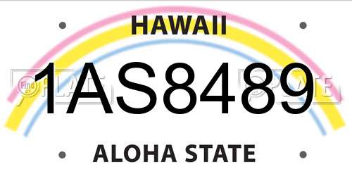 1AS8489 Hawaii License Plate