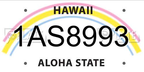 1AS8993 Hawaii License Plate