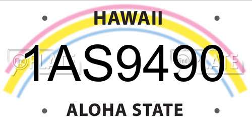 1AS9490 Hawaii License Plate