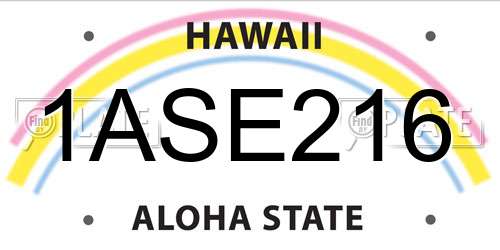 1ASE216 Hawaii License Plate
