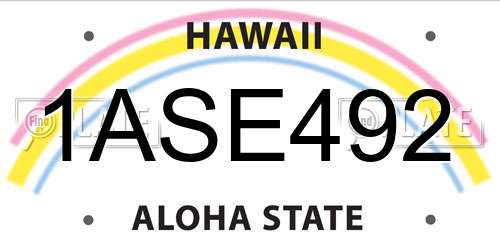 1ASE492 Hawaii License Plate