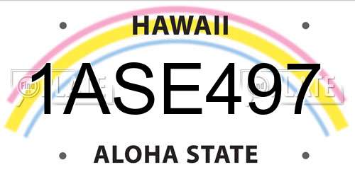 1ASE497 Hawaii License Plate