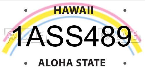 1ASS489 Hawaii License Plate