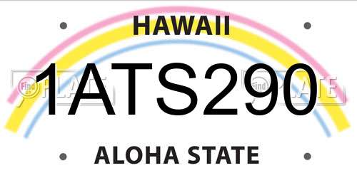 1ATS290 Hawaii License Plate