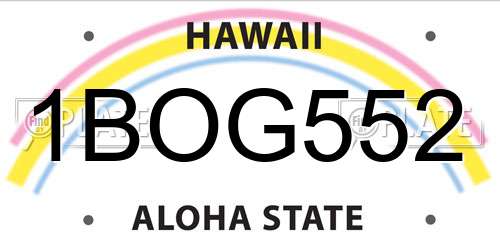 1BOG552 Hawaii License Plate