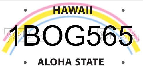 1BOG565 Hawaii License Plate
