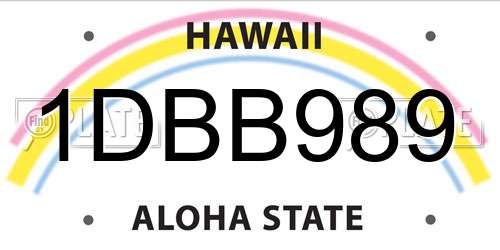 1DBB989 Hawaii License Plate