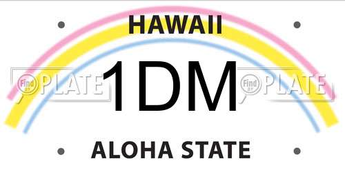 1DM Hawaii License Plate