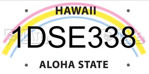 1DSE338 Hawaii License Plate