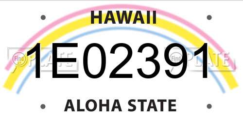 1E02391 Hawaii License Plate